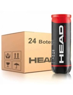 Cajón 24 botes Pelotas Tenis Head ChampionShip-575203-CAJÓN