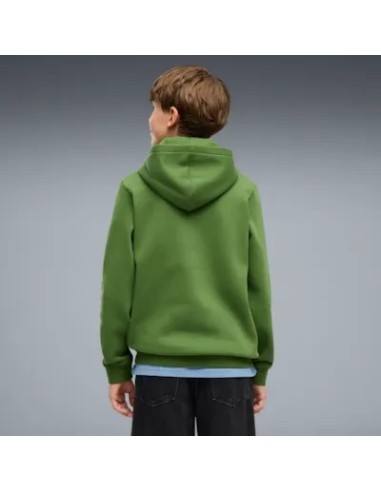 Sudadera PUMA ESS 2 Color Logo Niño.
