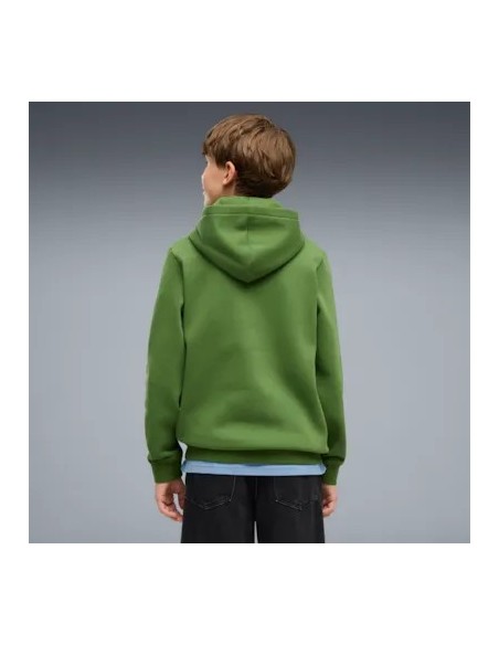 Sudadera PUMA ESS 2 Color Logo Niño.